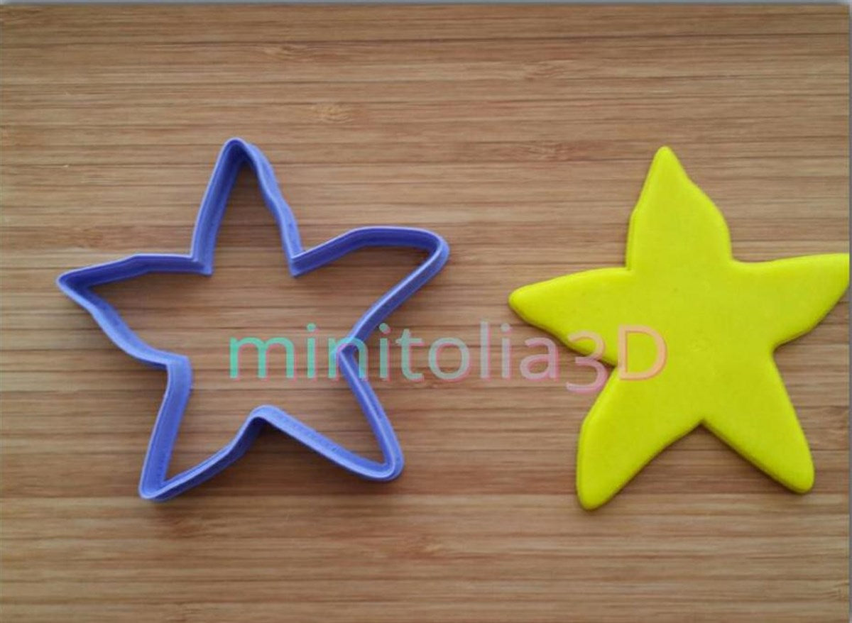 Deniz Yıldızı -03