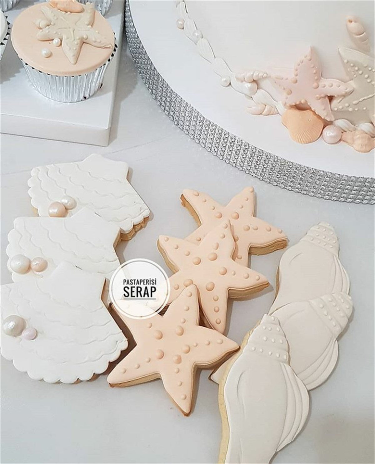 Deniz Yıldızı -03