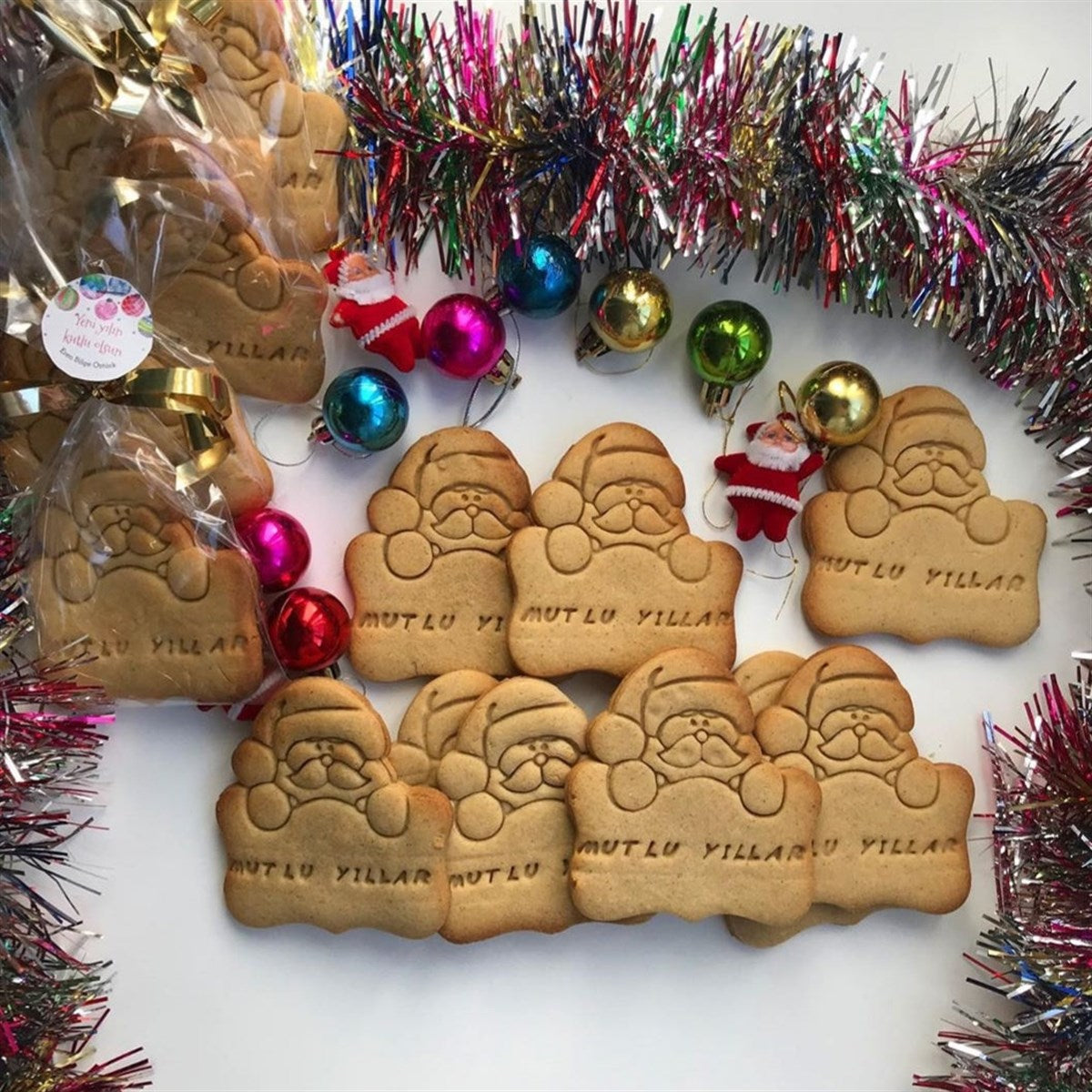 Pankartlı Noel Baba -02