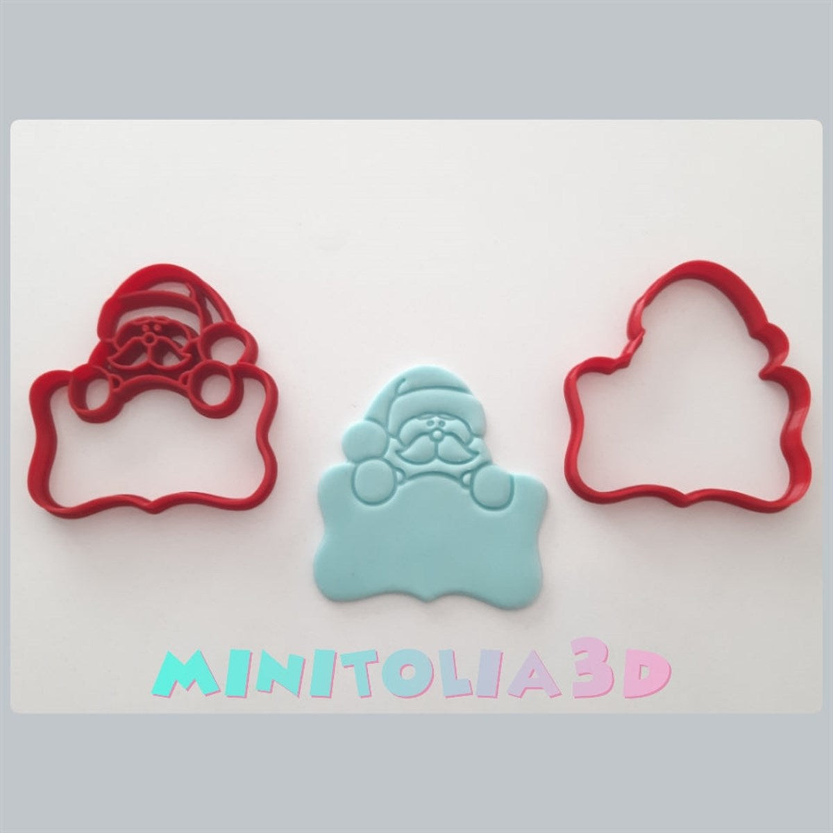 Pankartlı Noel Baba -02