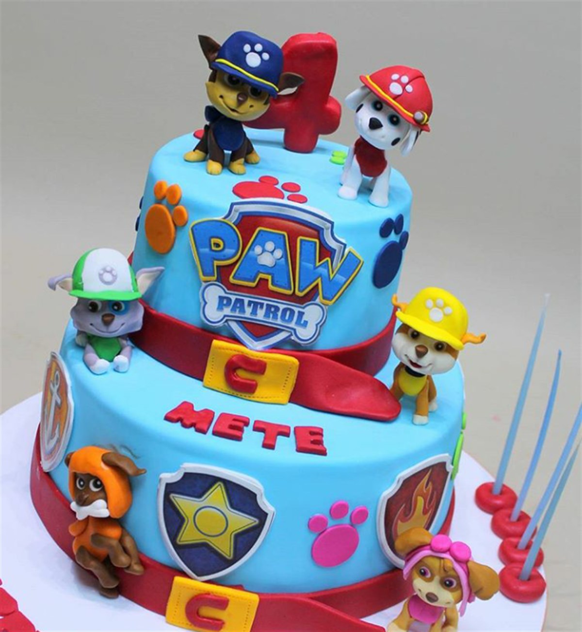 Paw Patrol Logo Seti