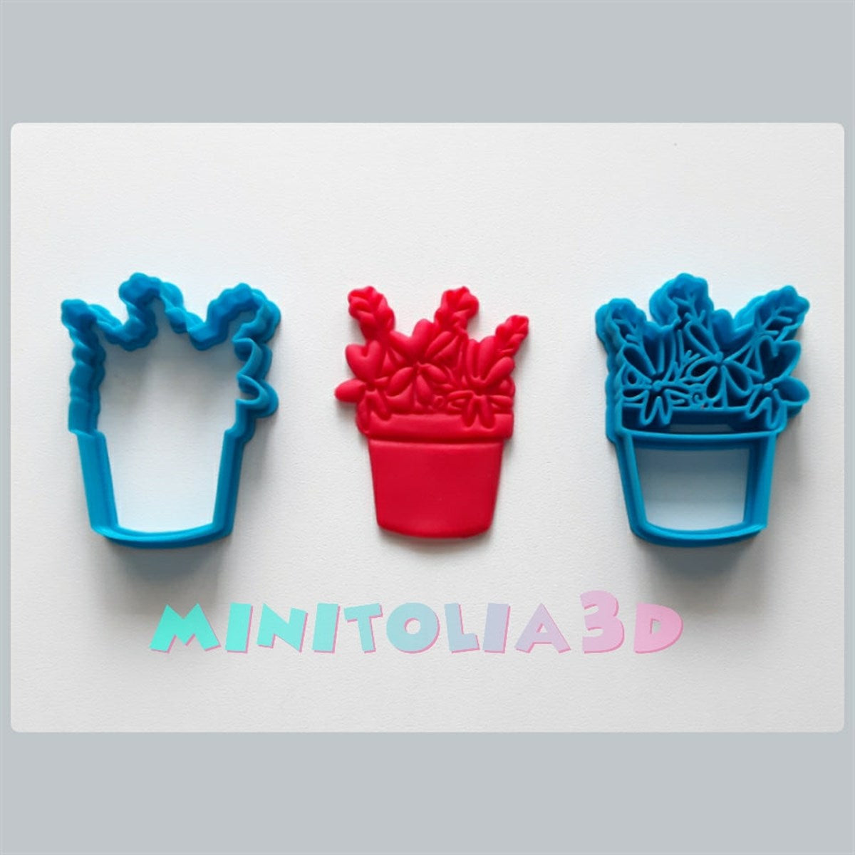 Saksı Çiçeği -02