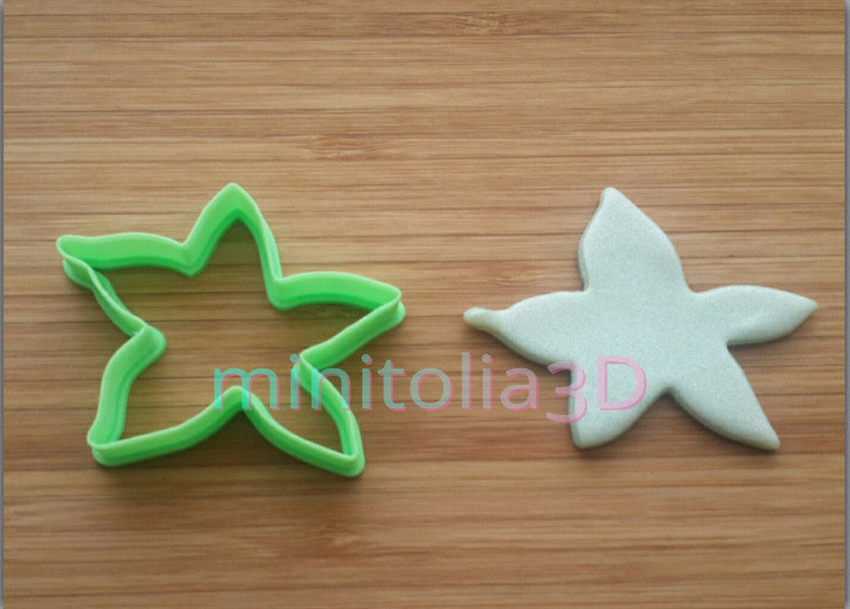 Deniz Yıldızı -01