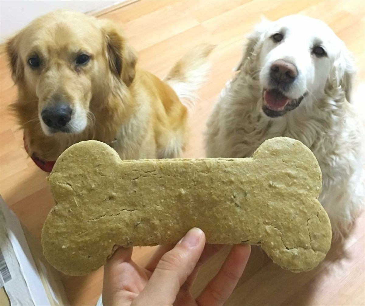 Kemik Kek Kesici Kalıp